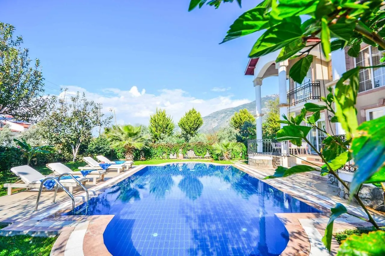 Villa Pegasus Evi Ovacik  Ovacik (Fethiye)